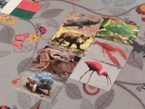 IMG_20210422_111807355